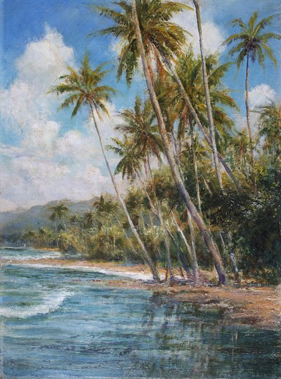 Palmenumsäumte Küste von Arthur Trevor Haddon